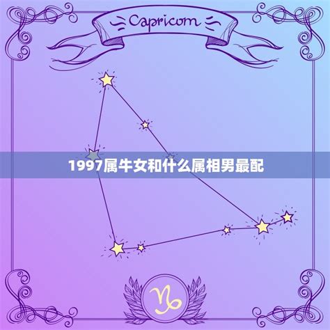 1997属什么|1997年属什么属相 1997年属什么生肖